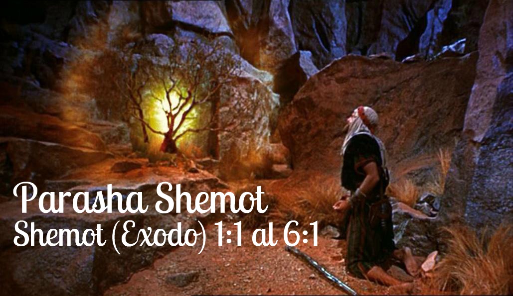 Parasha Shemot Shemot/Exodo 1:1 al 6:1 No 13