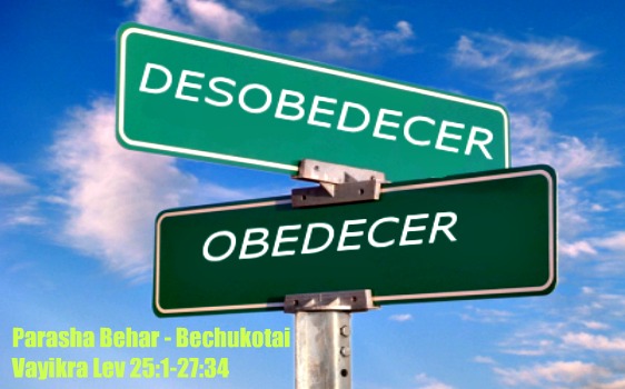 Parashá Behar / Bechukotai (Vayikrá-Levítico) 25:1-27:34 #31-32
