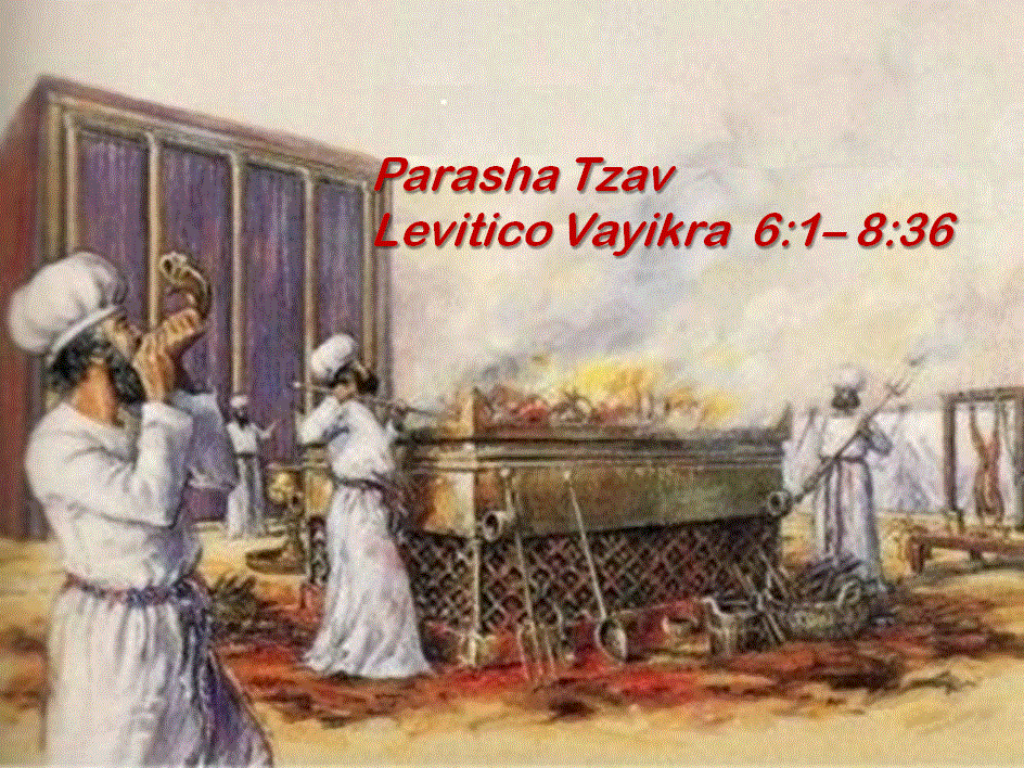 Parashá – Tzav Vaykrá, Levítico 6:1al 8:36 #25