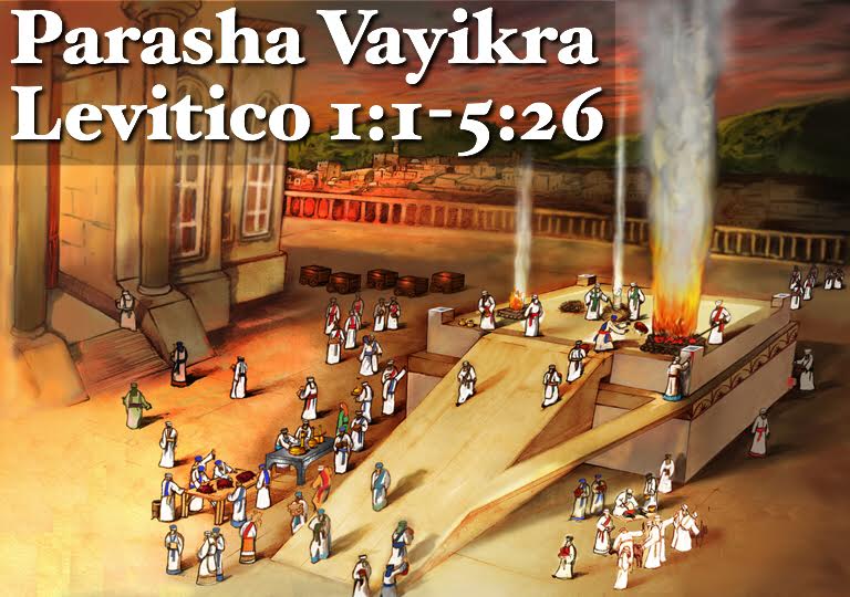 PARASHA VAYIKRA, Levítico 1:1 al 5:26 #24